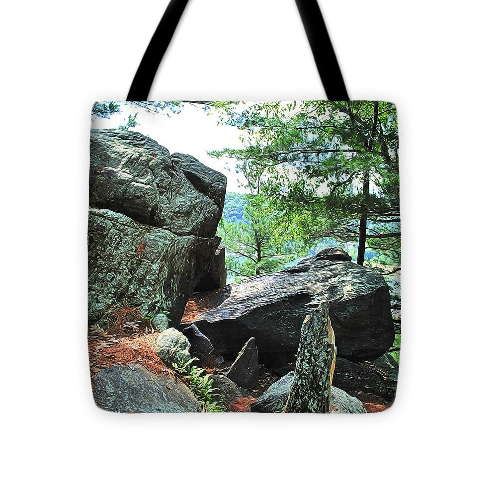 Wisconsin lake Parkland - Tote Bag