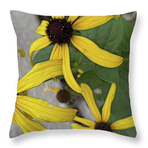 Yellow Cone Flower Close Up - Throw Pillow