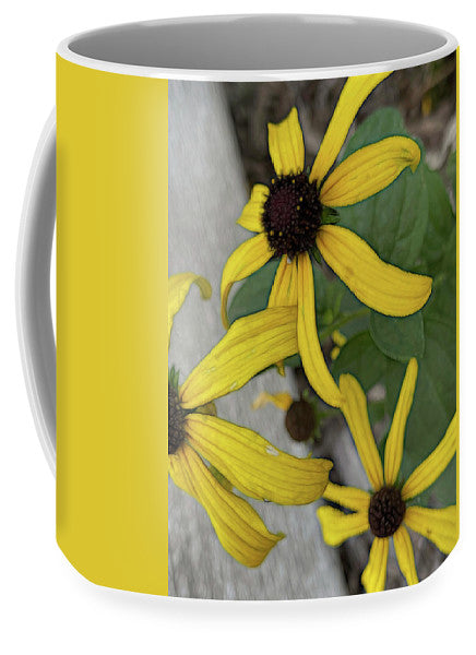 Yellow Cone Flower Close Up - Mug