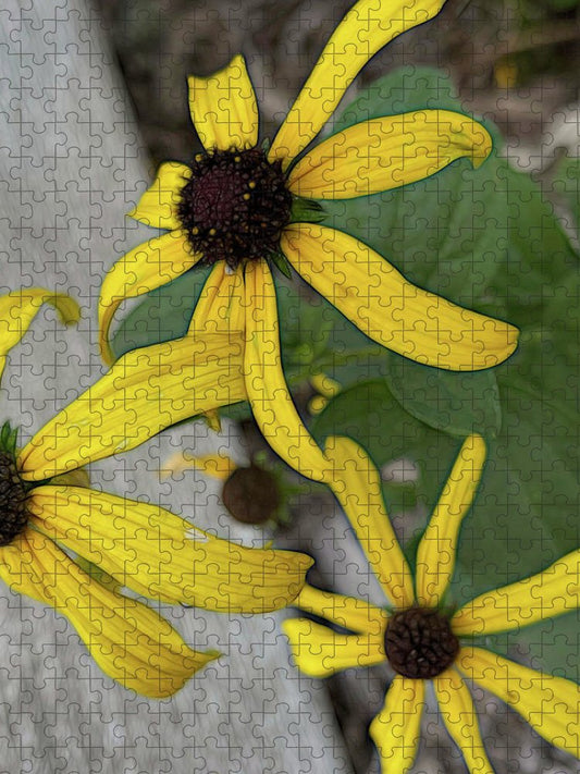 Yellow Cone Flower Close Up - Puzzle