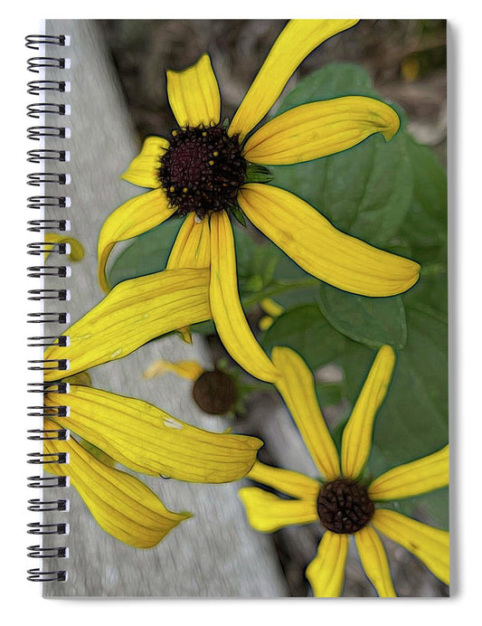 Yellow Cone Flower Close Up - Spiral Notebook