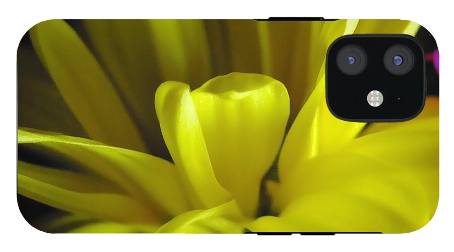 Yellow Daisy All Wild In The Morning - Phone Case