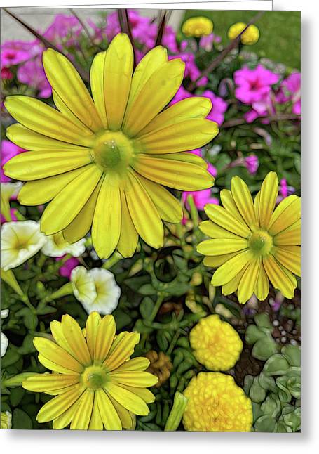 Yellow Daisy Garden - Greeting Card