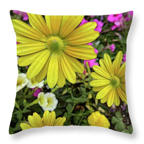 Yellow Daisy Garden - Throw Pillow