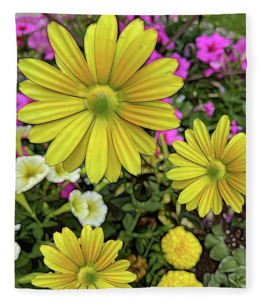 Yellow Daisy Garden - Blanket